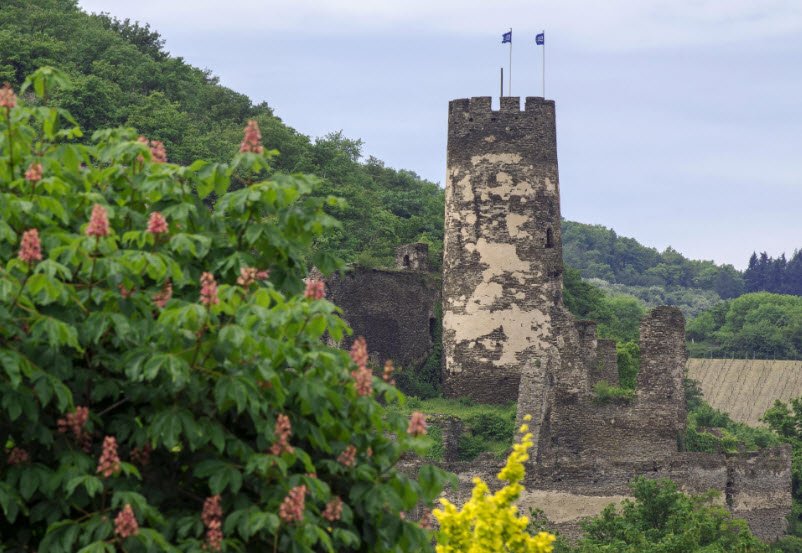 Fürstenberg Castle (Höingen), Ense, Germany, Germany